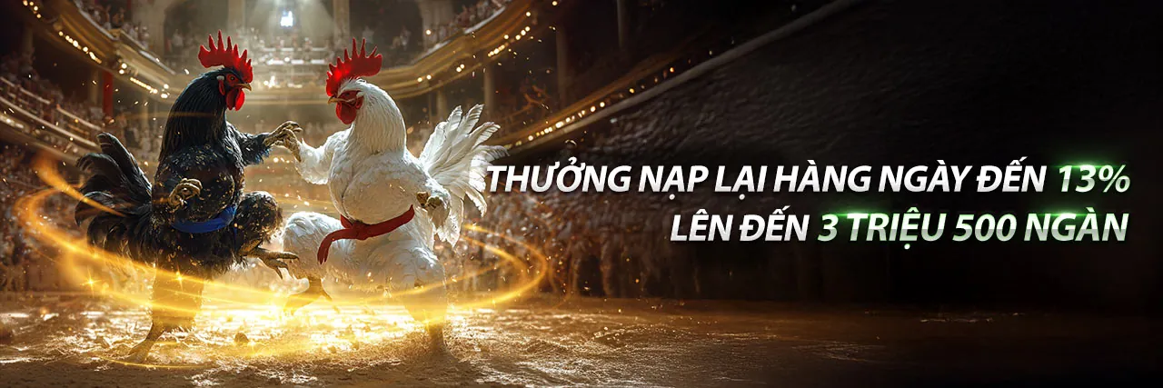 Đá gà ngày 30 tháng 11 tại Caxeng